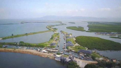 阳西程村蚝为地理标志保护产品 阳西程村蚝为地理标志保护产品
