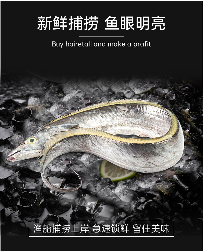 新鲜钓口带鱼