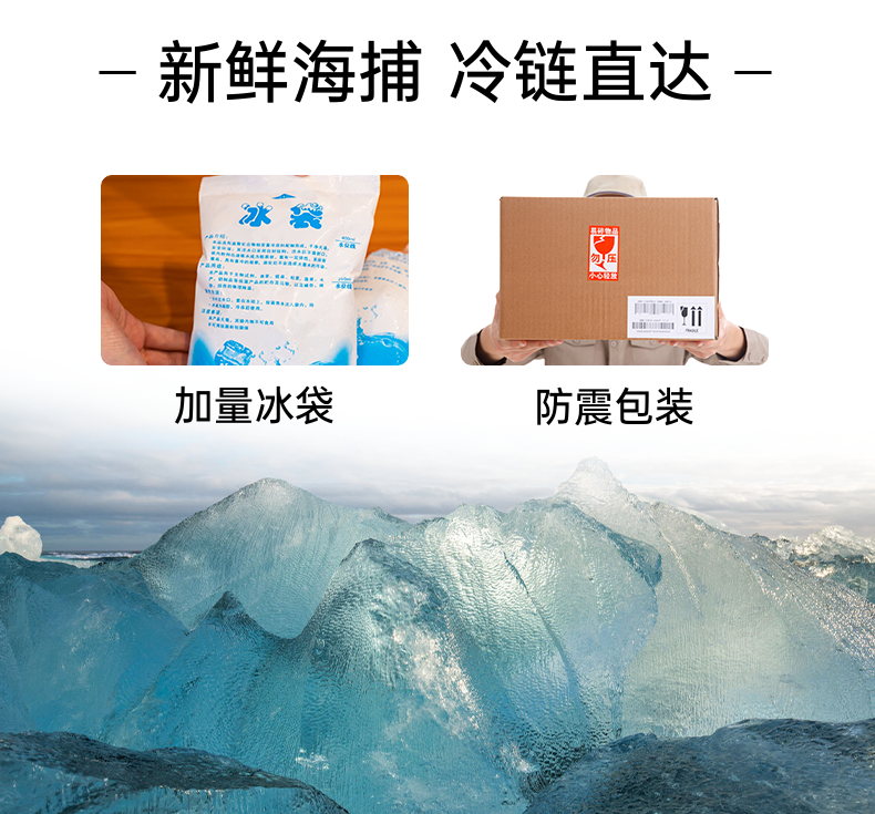 新鲜钓口带鱼