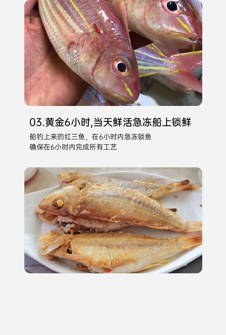 钓口野生红三鱼 ( 红杉鱼）