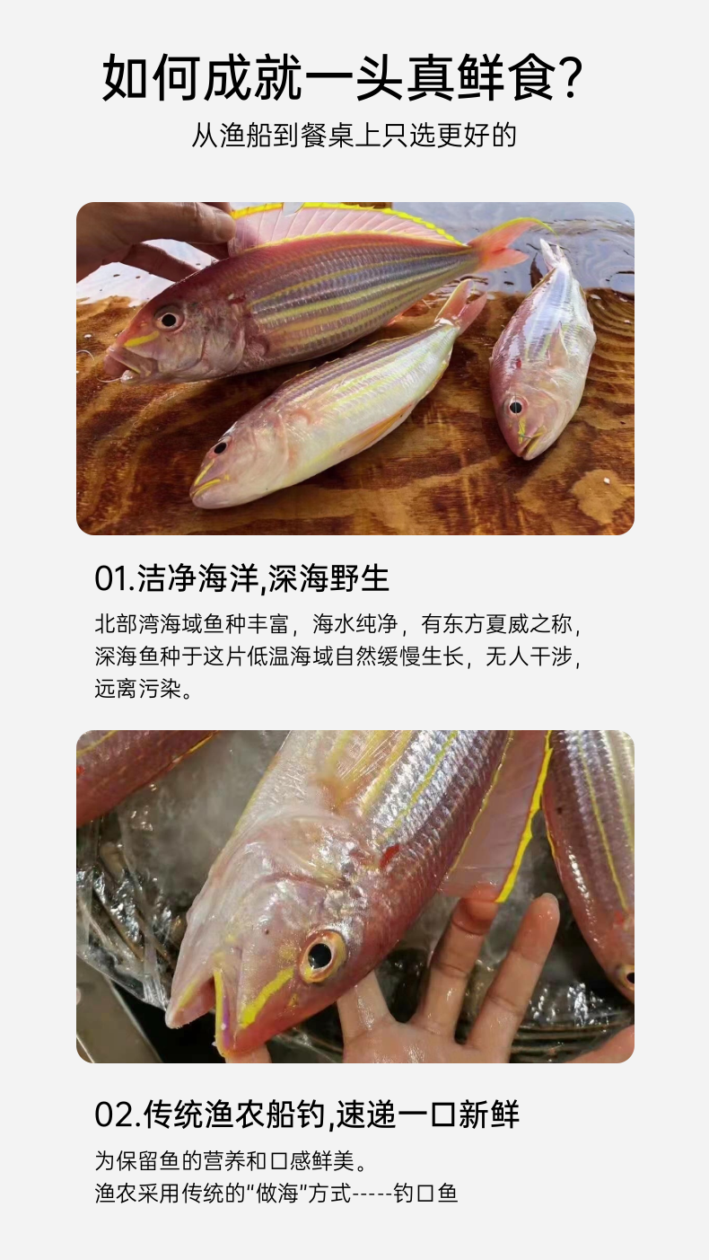钓口野生红三鱼 ( 红杉鱼）
