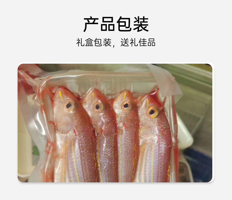 钓口野生红三鱼 ( 红杉鱼）
