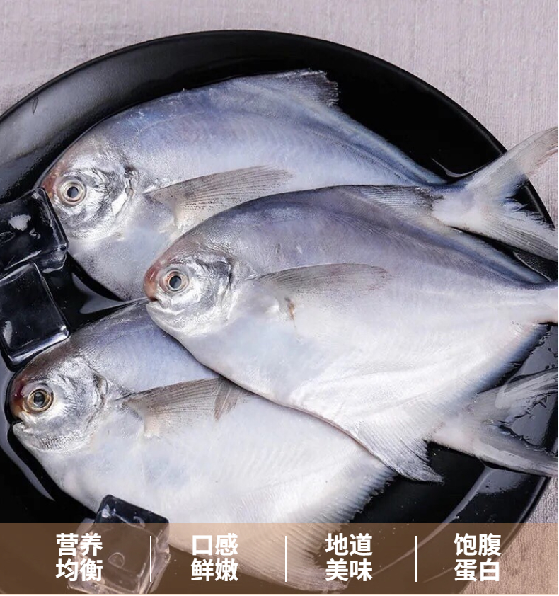 银鲳鱼（白鲳）