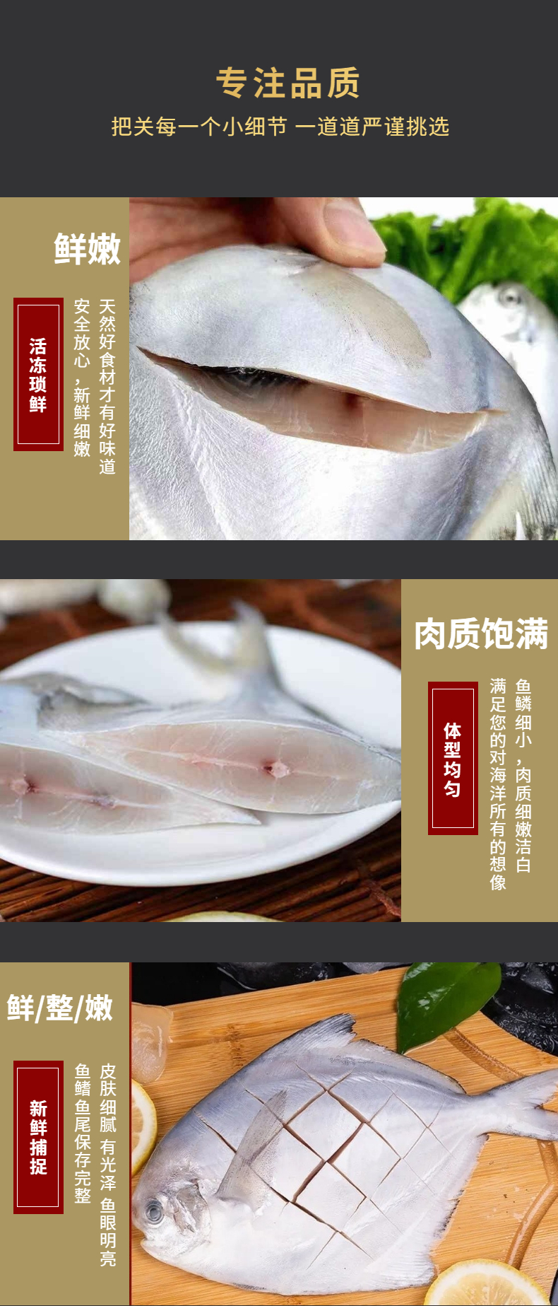 银鲳鱼（白鲳）