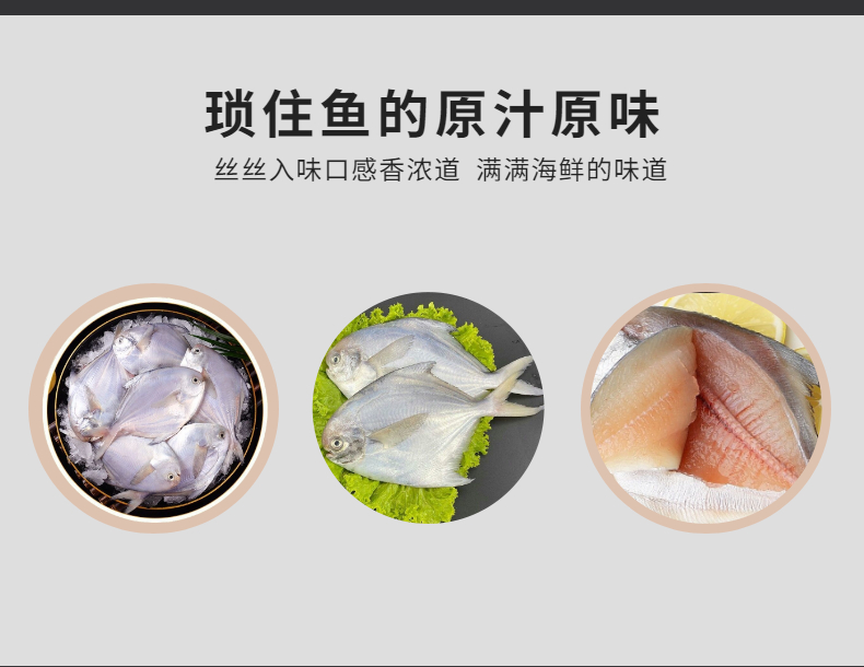 银鲳鱼（白鲳）