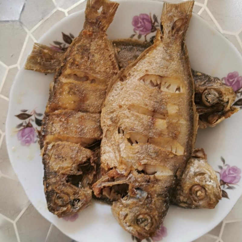 南鲳鱼（肥妹）