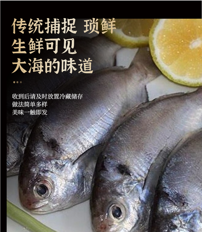 南鲳鱼（肥妹）