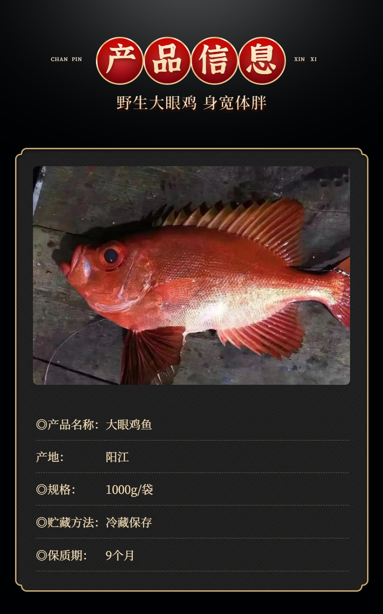 大眼鸡鱼