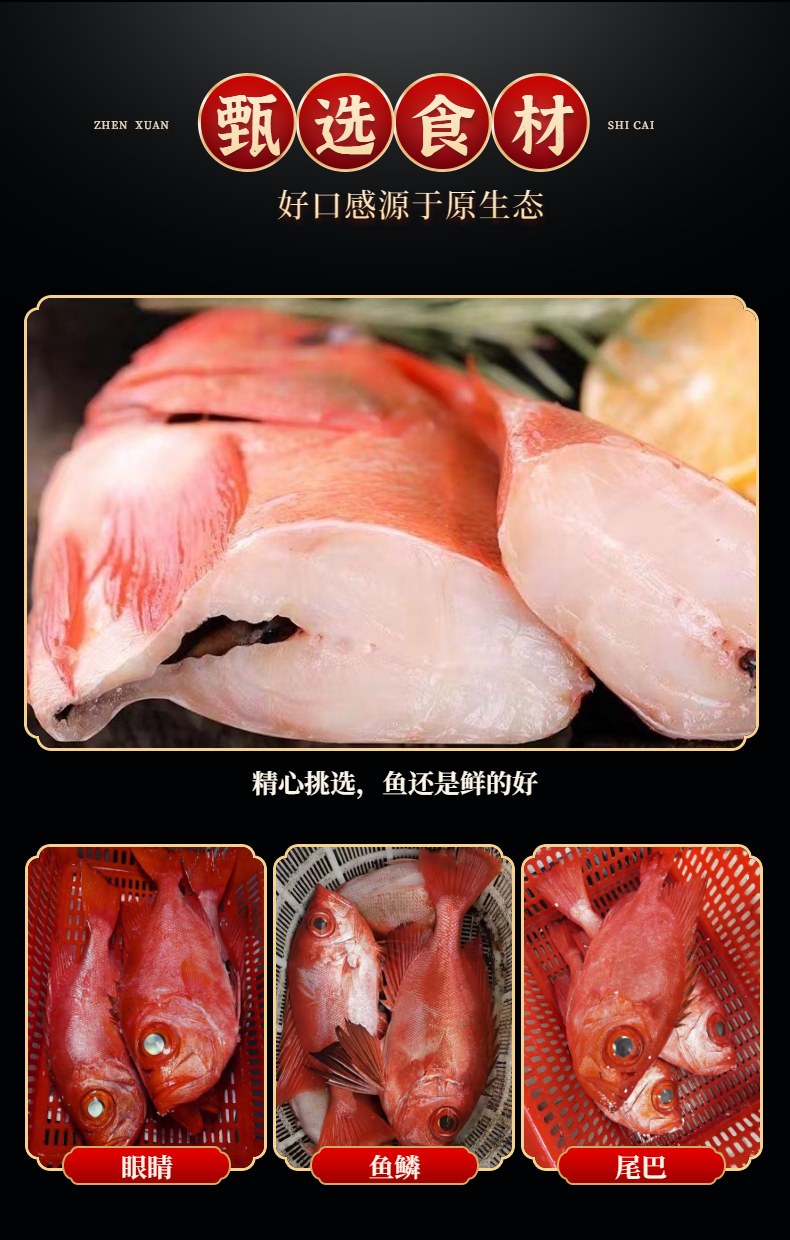 大眼鸡鱼