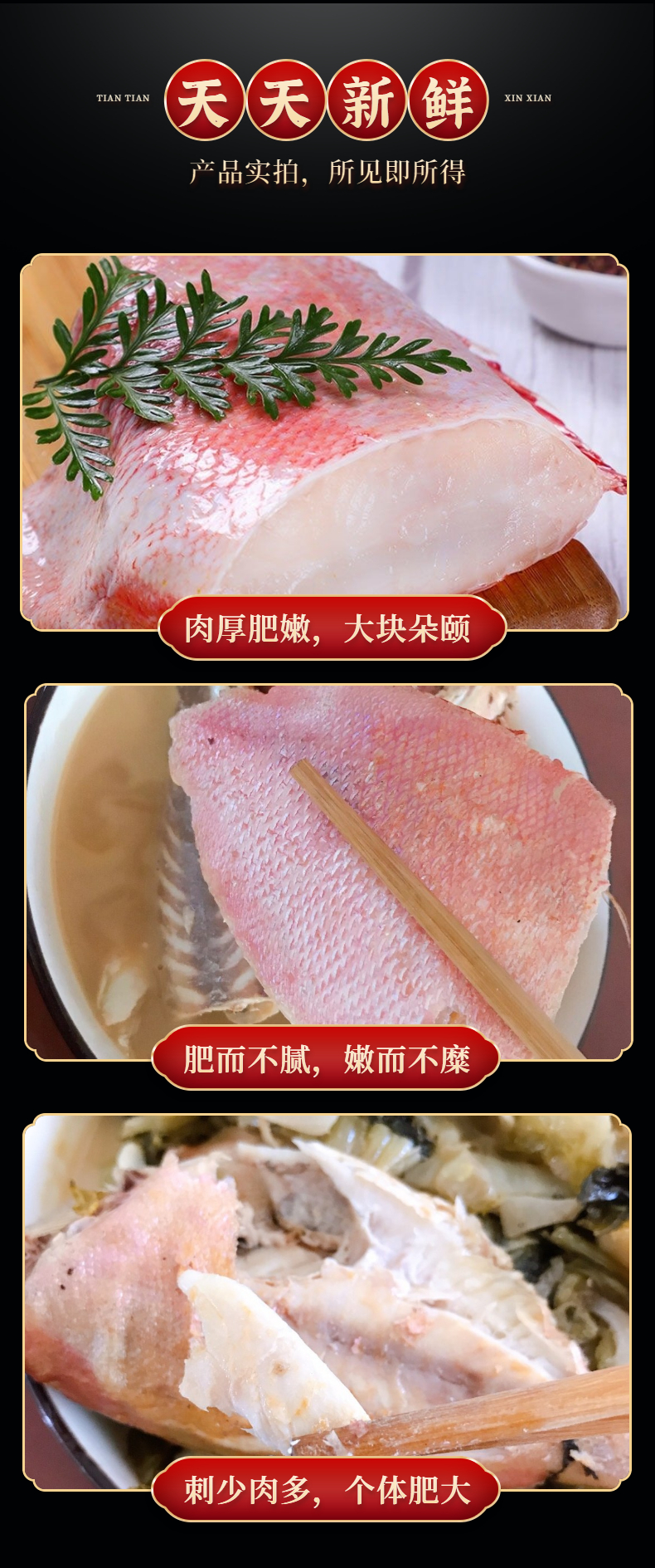 大眼鸡鱼