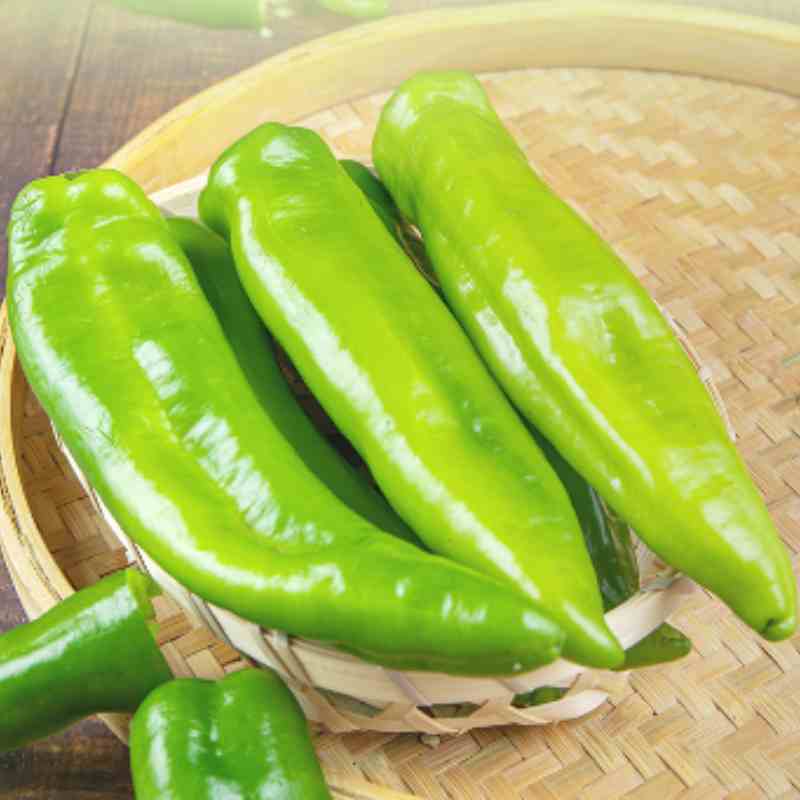 青椒（辣椒）