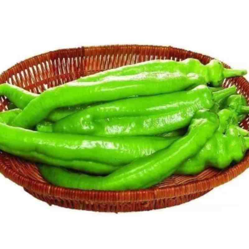 青椒（辣椒）