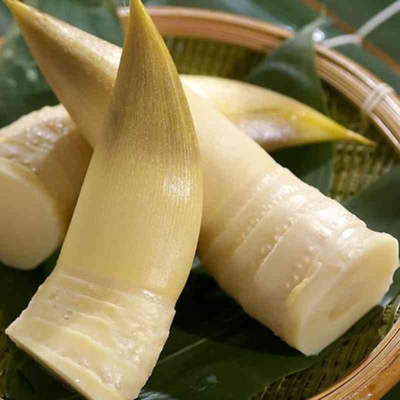 东水竹笋