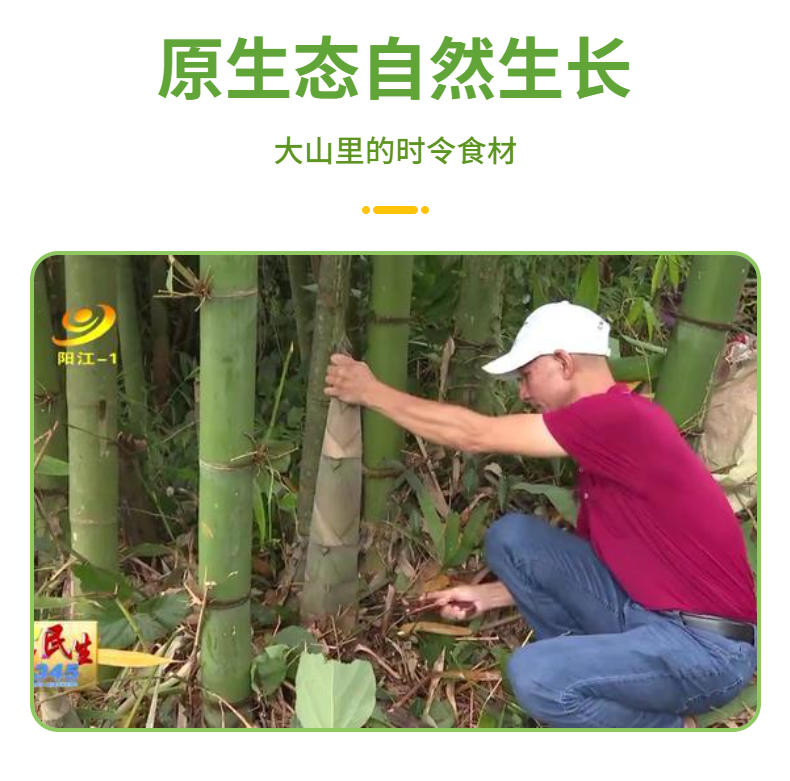 东水竹笋