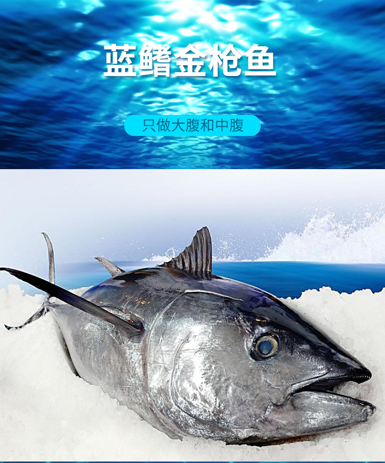 蓝鳍金枪鱼刺身