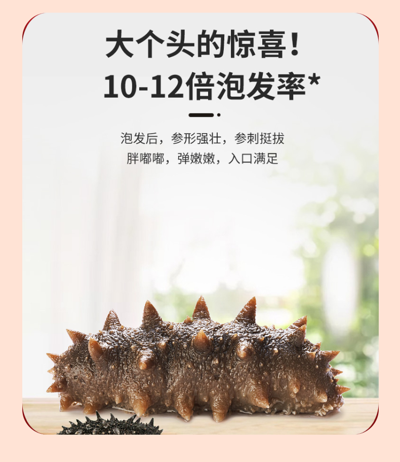凤凰2+2喜庆大礼包